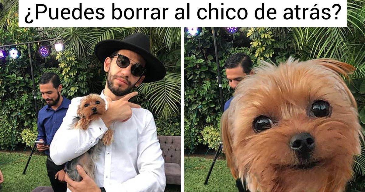 Un genio del Photoshop arruina las fotos de los fanáticos a cambio de una sonrisa, y nadie se ha enojado por eso Un genio del Photoshop arruina las fotos de los fanáticos a cambio de una sonrisa, y nadie se ha enojado por eso