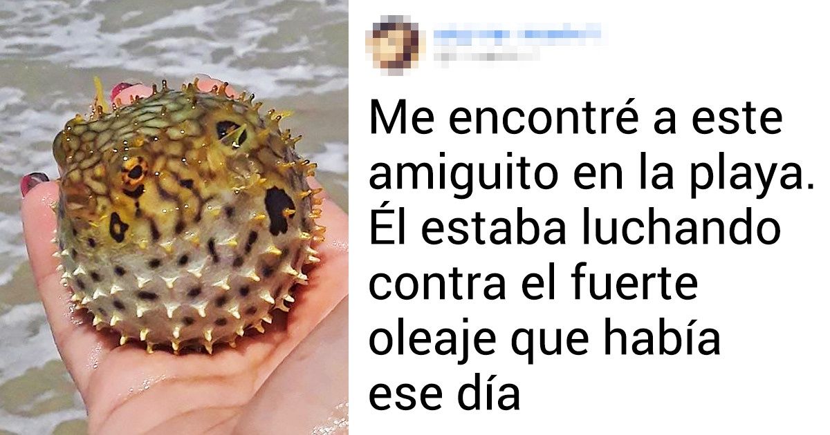 Usuarios de Genial compartieron su mejor foto tomada con la cámara del celular (25 fotografías)