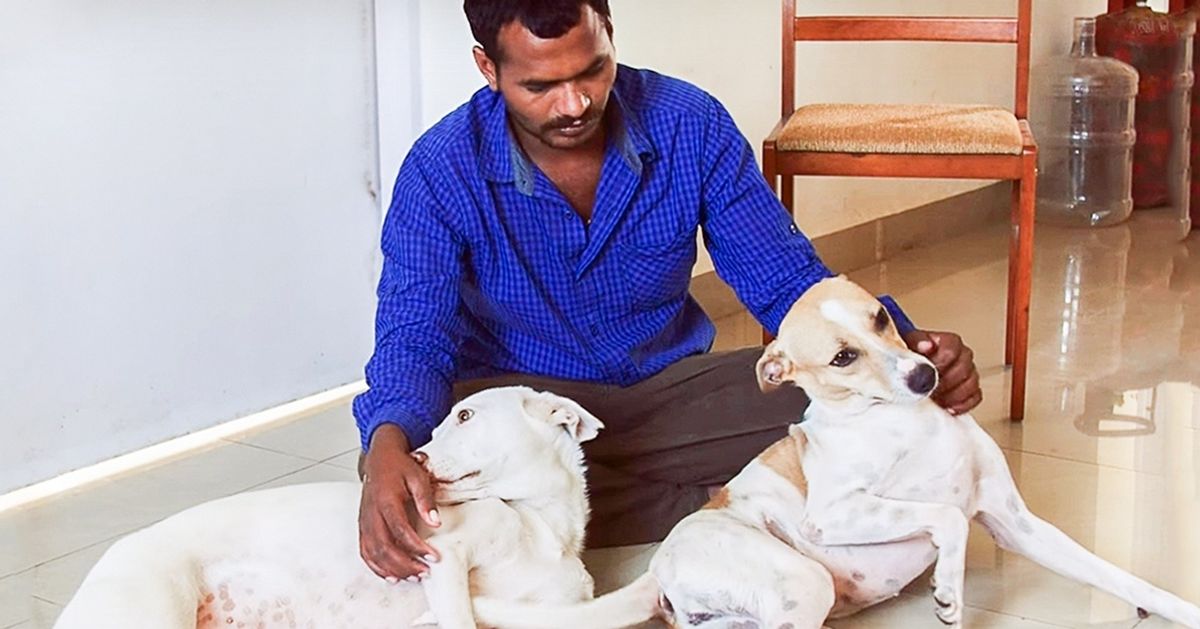 Este hombre pasó 10 años ahorrando dinero para ayudarles a los animales sin hogar