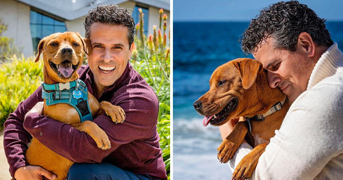 Marco Antonio Regil decide abandonar a su perrita y sus razones no son bien recibidas