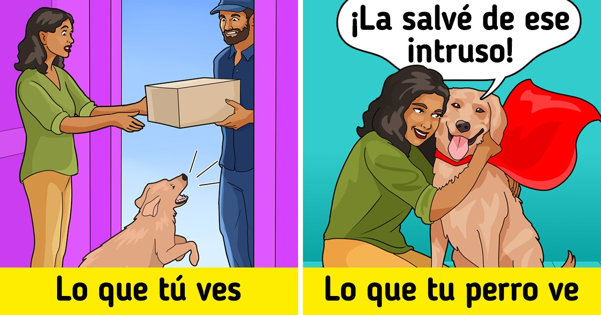 Por qué los perros les ladran a los carteros y 10 datos geniales sobre su comportamiento