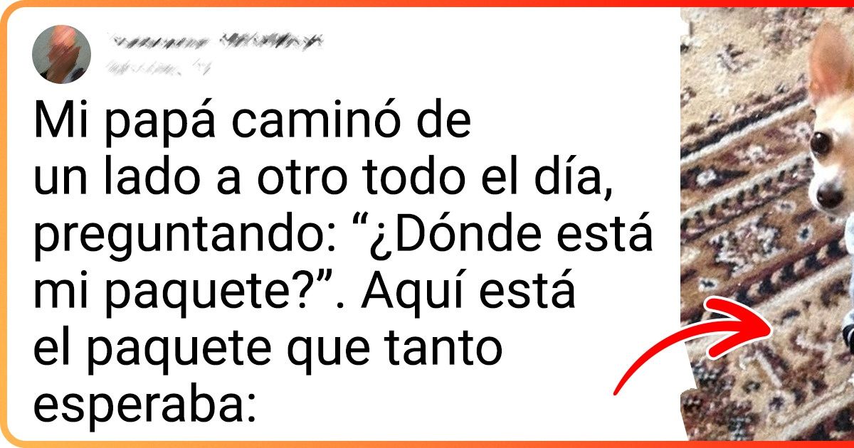 18 Hombres que pasaron del “no tendremos animales” al “cuchi cuchi, mi bebé” en cuestión de una sola alegría esponjosa