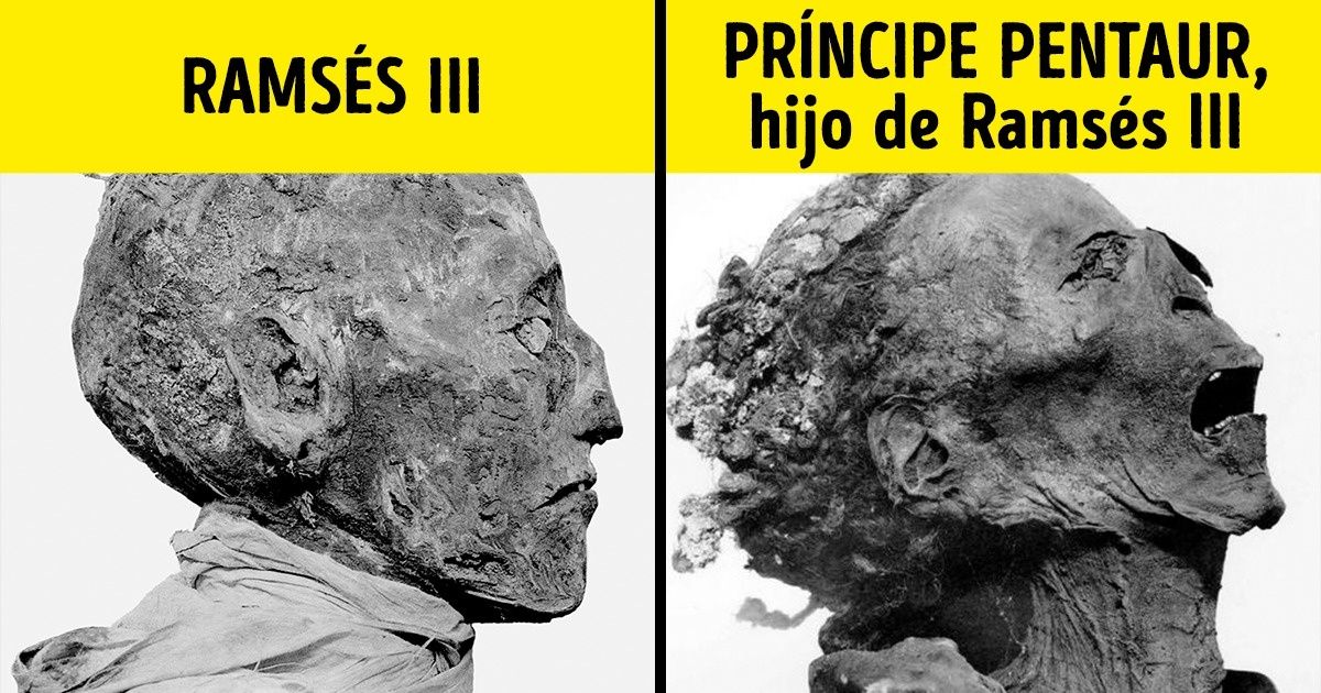 4 Hechos sobre las pirámides y faraones que te harán reexaminar el Antiguo Egipto 4 Hechos sobre las pirámides y faraones que te harán reexaminar el Antiguo Egipto