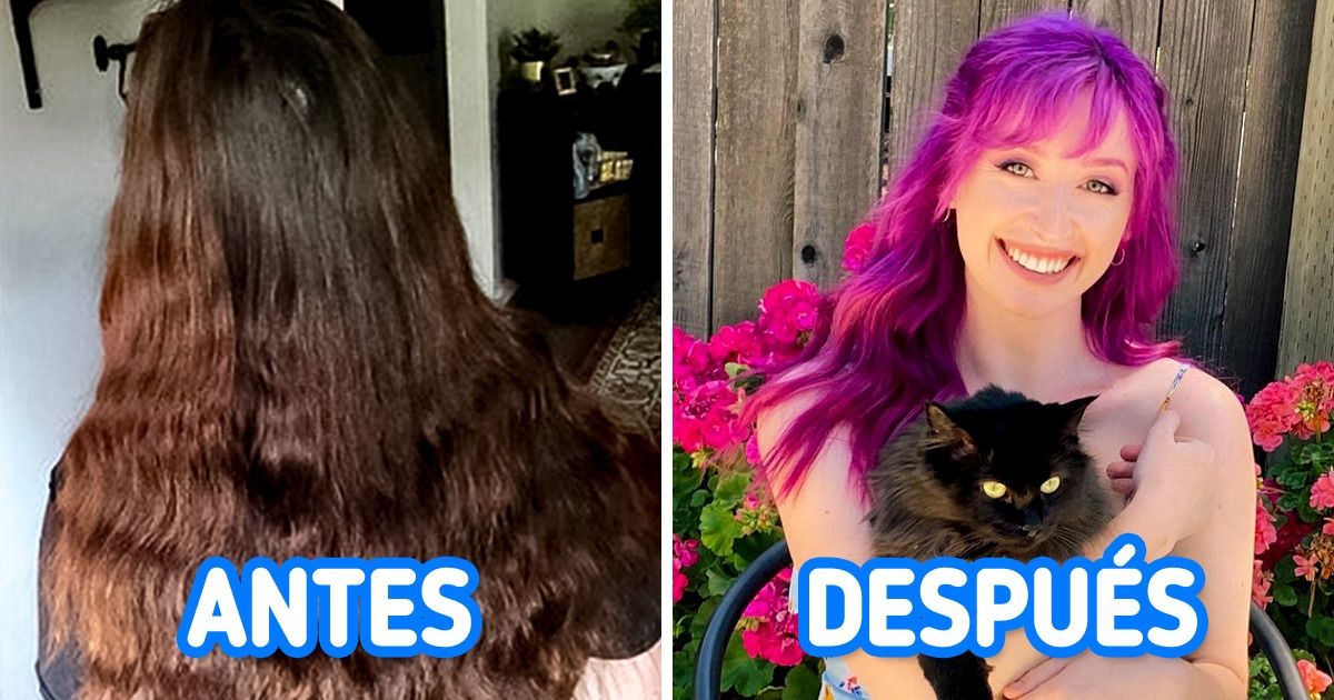 20 Personas que decidieron ahorrar en peluquería y descubrieron que son sus mejores estilistas 20 Personas que decidieron ahorrar en peluquería y descubrieron que son sus mejores estilistas