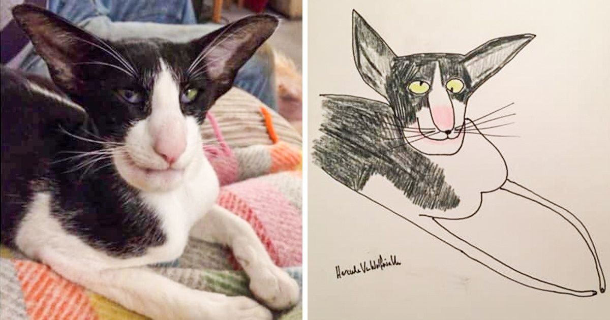 Un hombre se vuelve viral por sus retratos de mascotas mal dibujados y recauda miles de dólares para la caridad