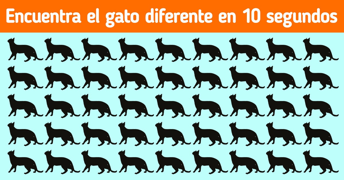 13 Engañosos acertijos que ponen a prueba nuestra percepción visual 13 Engañosos acertijos que ponen a prueba nuestra percepción visual