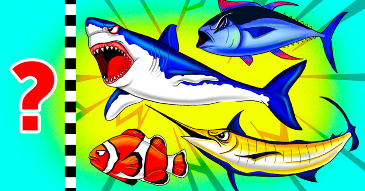 ¿Cuál es el ser vivo más rápido en el agua? ¿Cuál es el ser vivo más rápido en el agua?