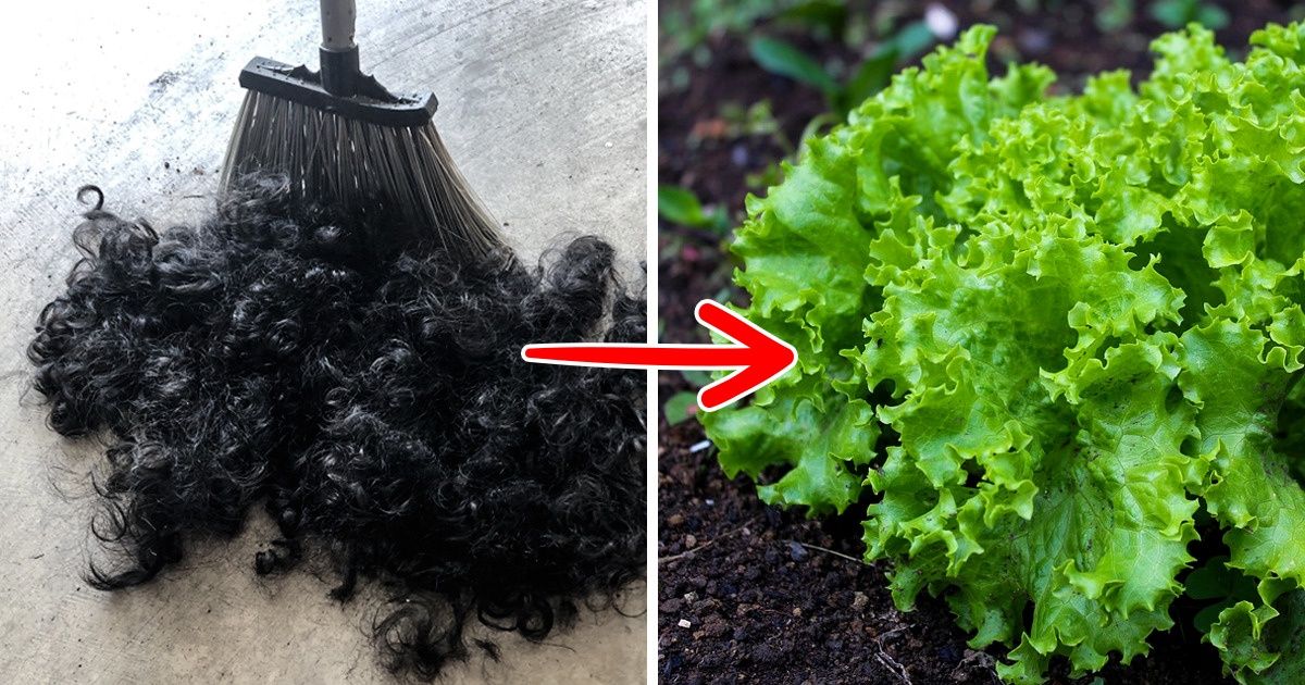 6 Cosas que se pueden hacer con el cabello humano después de cortarlo