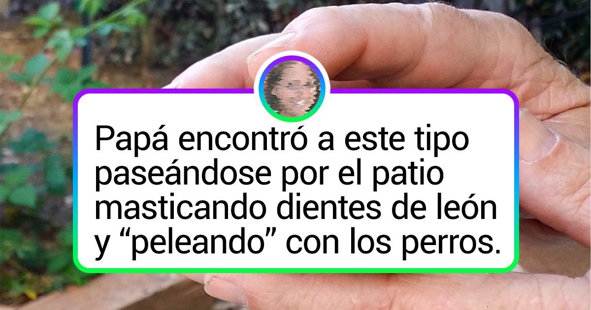 20 Animales salvajes que pueden llegar fácilmente al corazón de cualquiera 20 Animales salvajes que pueden llegar fácilmente al corazón de cualquiera
