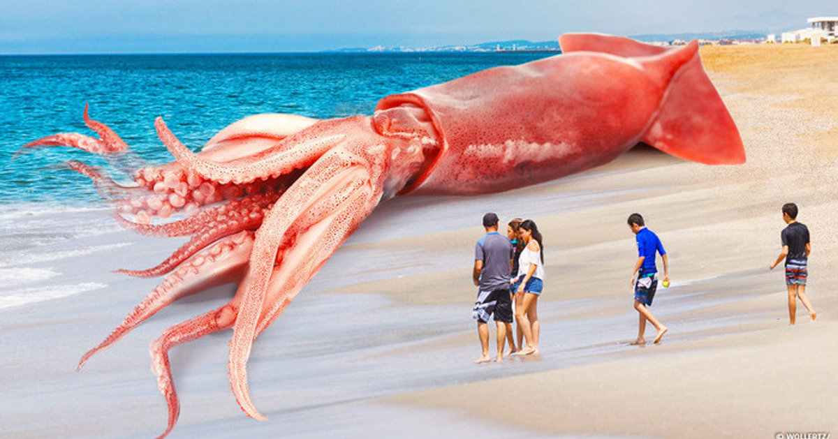 Todos pensaron que era un mito, pero es real Todos pensaron que era un mito, pero es real