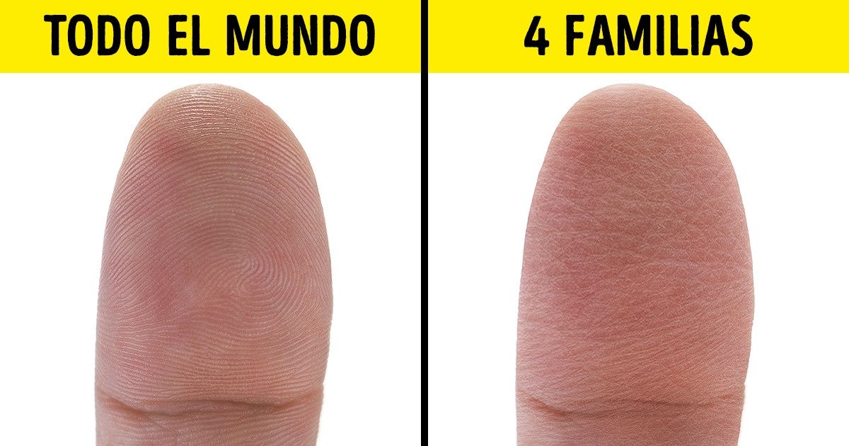 10 Hechos científicos que demuestran lo poco que sabemos sobre este mundo 10 Hechos científicos que demuestran lo poco que sabemos sobre este mundo