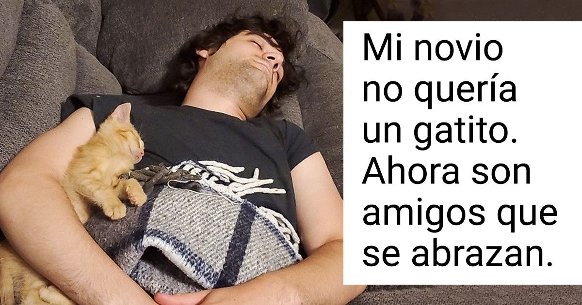 29 Hombres que dijeron “no quiero a esa mascota en casa”, y terminaron rendidos ante sus peludas patitas (nueva selección) 29 Hombres que dijeron “no quiero a esa mascota en casa”, y terminaron rendidos ante sus peludas patitas (nueva selección)