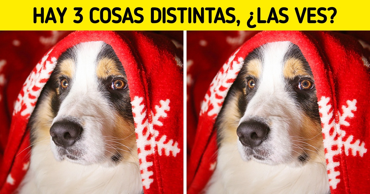 Test: ¿Puedes detectar las diferencias entre las imágenes?