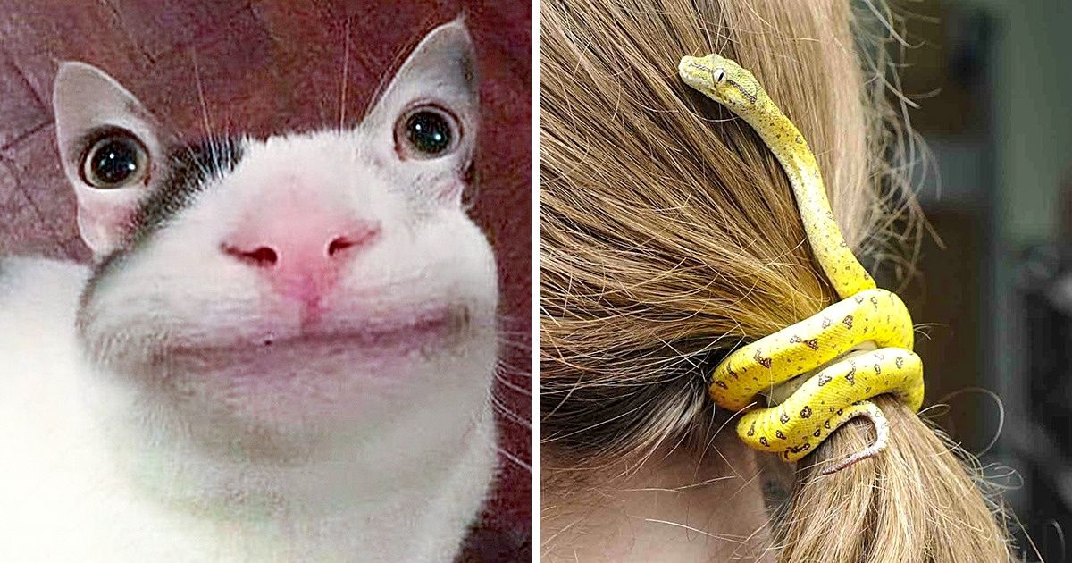 15 Fotografías que pueden hacer que mires dos veces, y quizá ni así creas lo que ves (procede con cautela)
