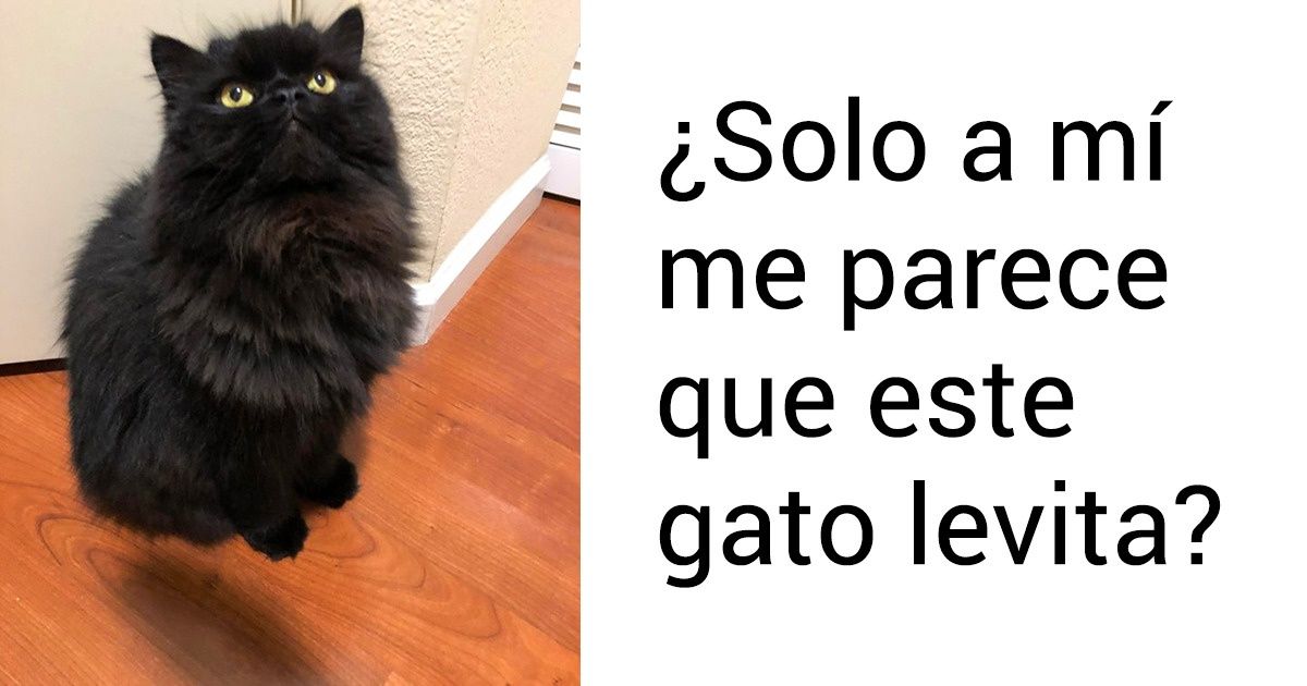 20 Fotos de personas que siempre ven algo raro