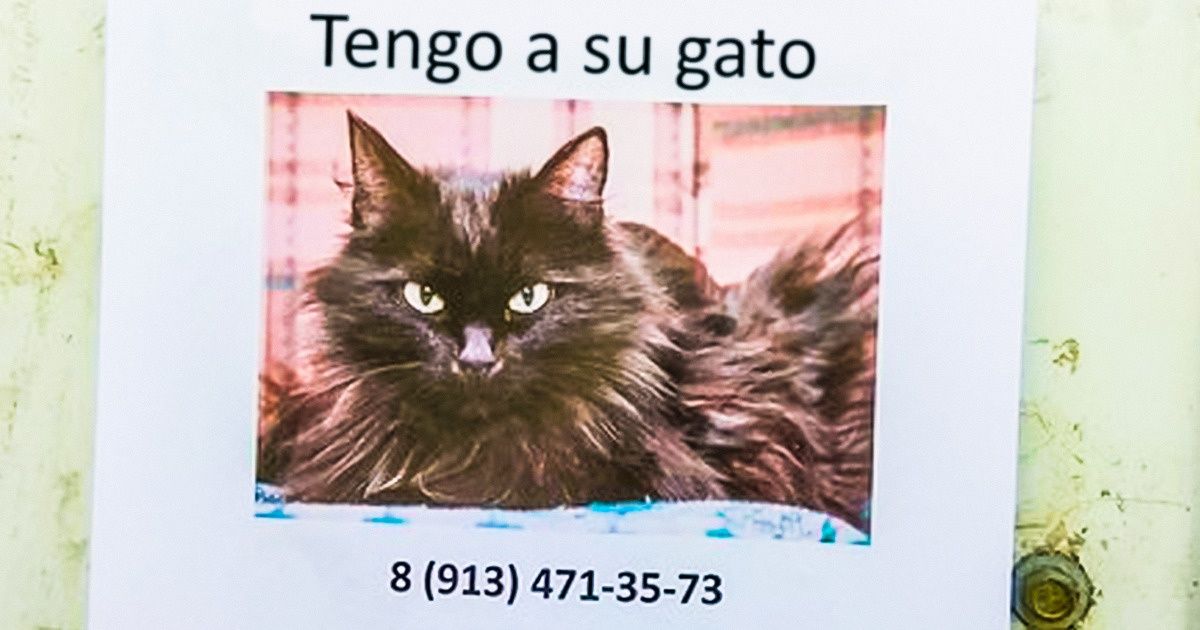 26 Personas que hacen este mundo un poco mejor a su manera