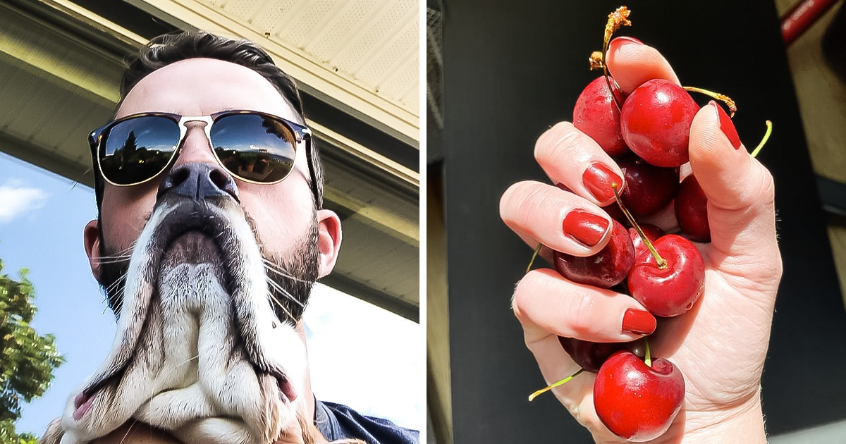 20 Momentos tan irrepetibles que dan ganas de enmarcarlos y colgarlos en la sala