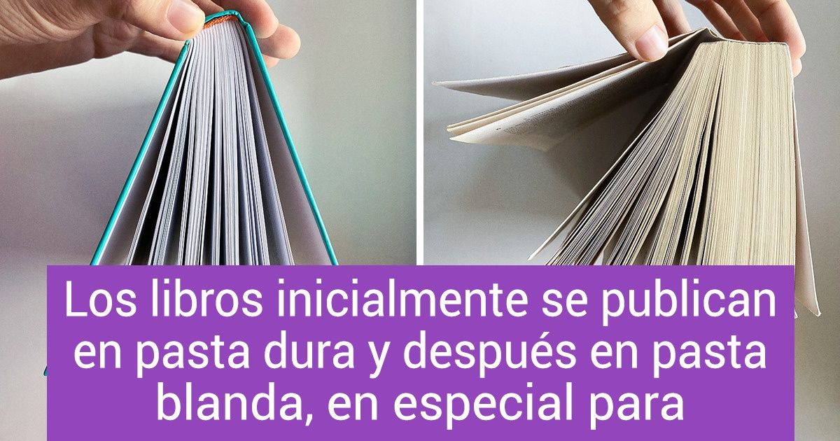 10 Respuestas a preguntas tontas que probablemente siempre te había dado pereza buscar 10 Respuestas a preguntas tontas que probablemente siempre te había dado pereza buscar