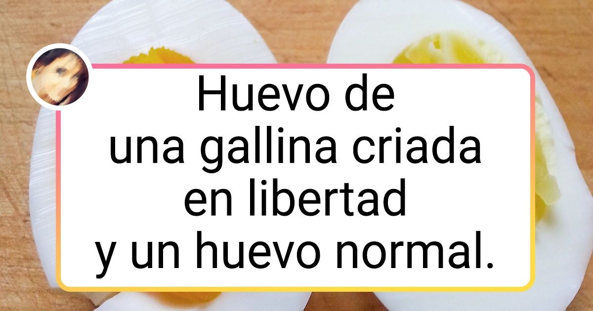 20 Comparaciones de cosas habituales, en las cuales yace una fenomenal diferencia