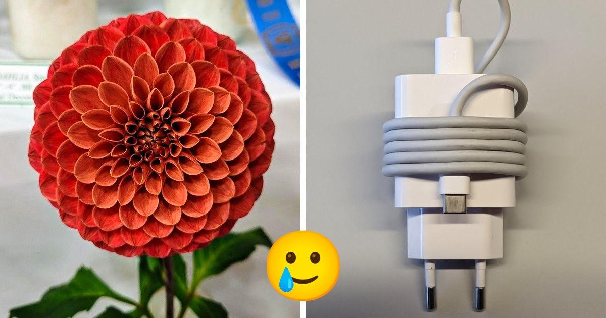 21 Personas que no se imaginaron que iban a ser testigos de cosas naturalmente perfectas