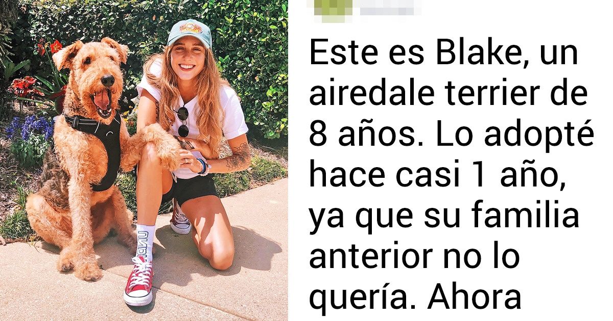 15 Mascotas que son las mejores amigas de sus humanos, y ellos decidieron honrarlas compartiendo sus fotos e historias en la red 15 Mascotas que son las mejores amigas de sus humanos, y ellos decidieron honrarlas compartiendo sus fotos e historias en la red