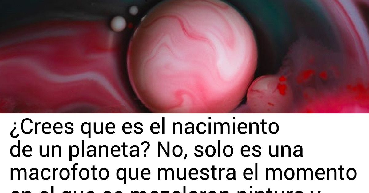 20+ Fotos que demuestran cómo en cosas y objetos familiares se esconde todo un universo