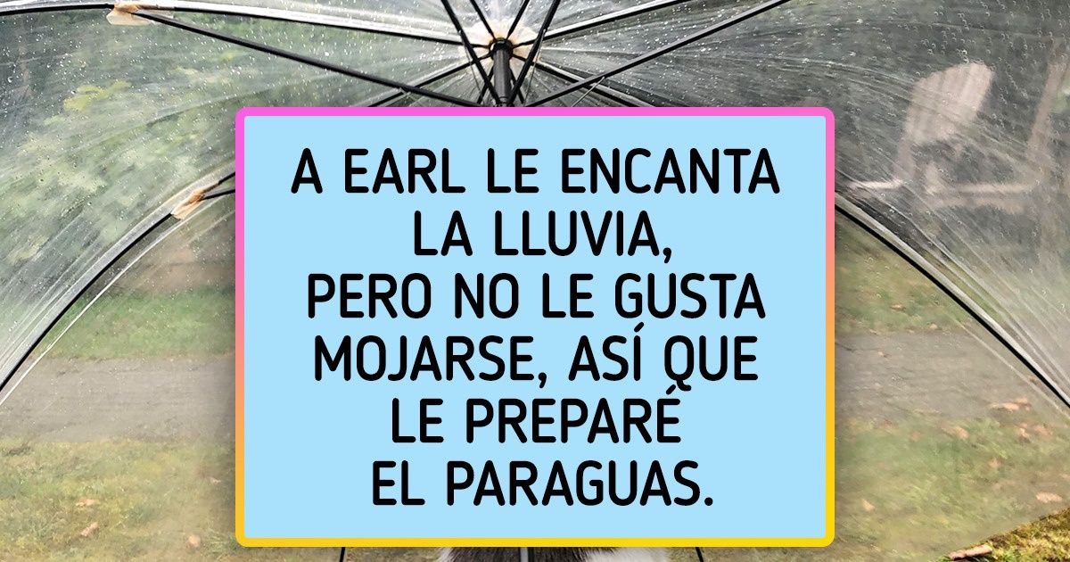 20+ Fotos que nos recuerdan que la lluvia es uno de los placeres más sencillos y a la vez satisfactorios 20+ Fotos que nos recuerdan que la lluvia es uno de los placeres más sencillos y a la vez satisfactorios