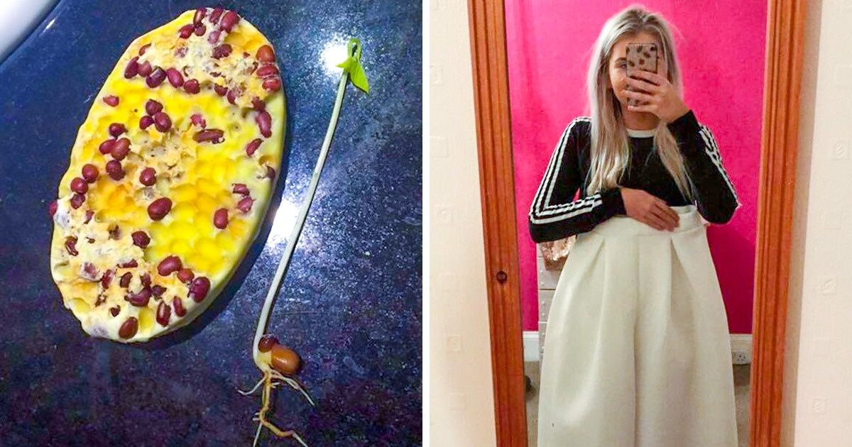 15 Cosas increíbles que solo podrían pasar en nuestro planeta