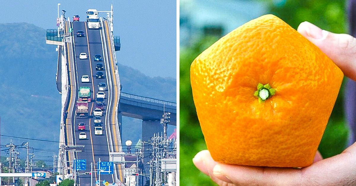 15 Cosas asombrosas que nos demuestran que Japón vive 100 años en el futuro 15 Cosas asombrosas que nos demuestran que Japón vive 100 años en el futuro