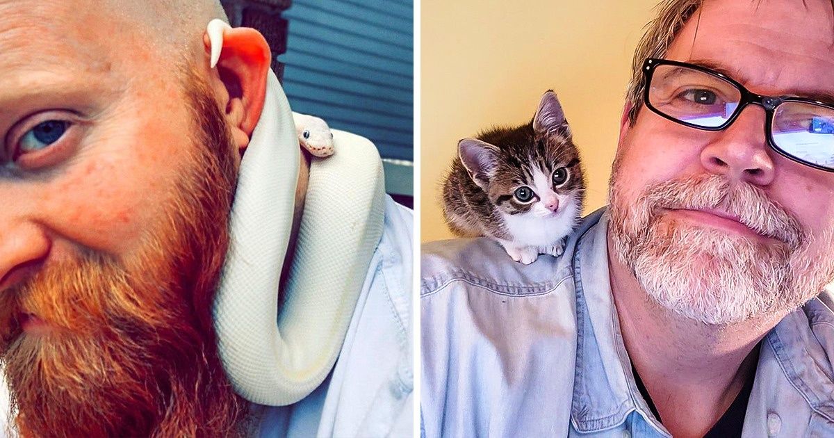 20 Mascotas cuyo mejor lugar para descansar es sobre los hombros de sus dueños