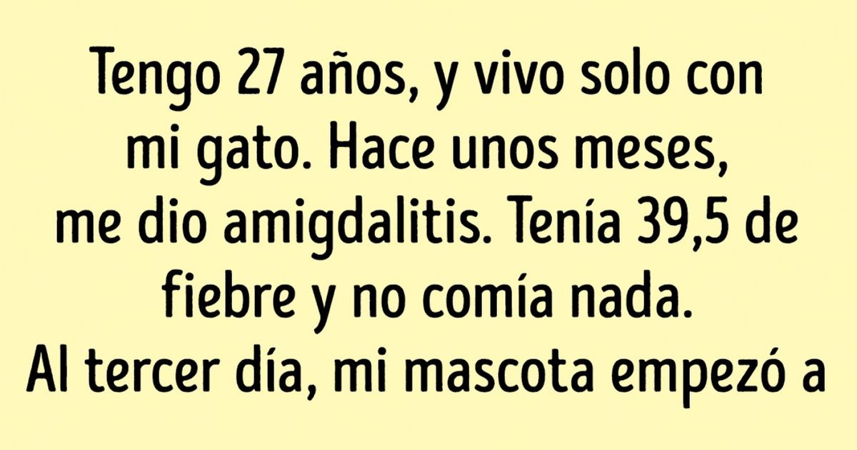 15 Historias que demostraron que la humanidad subestima toda la astucia y sabiduría de los gatos 15 Historias que demostraron que la humanidad subestima toda la astucia y sabiduría de los gatos