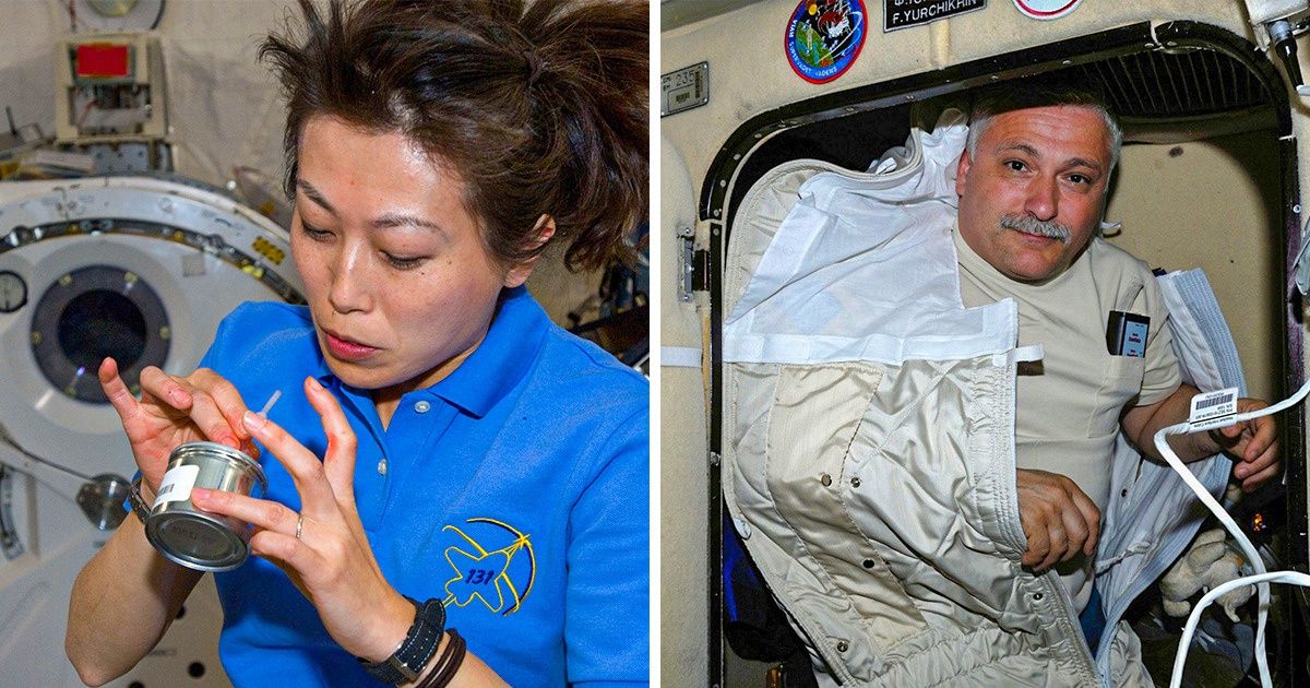 11 Curiosidades sobre los astronautas que viajan al espacio 11 Curiosidades sobre los astronautas que viajan al espacio