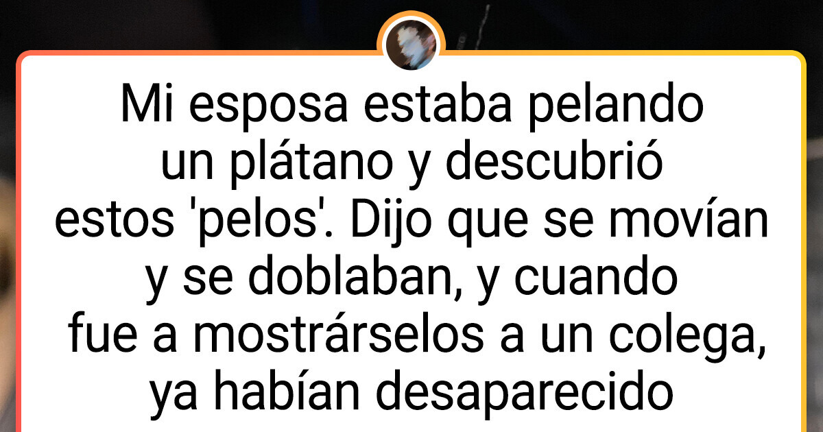 15+ Fotos enigmáticas que ni siquiera el mejor detective podría descifrar