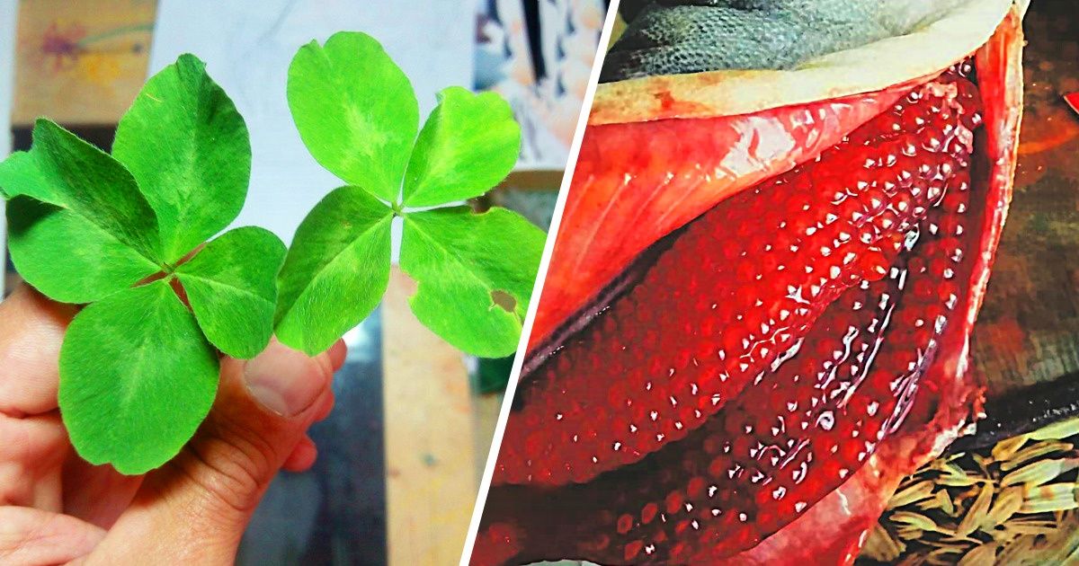 19 Fotos cuyos autores aprovecharon su única oportunidad entre un millón