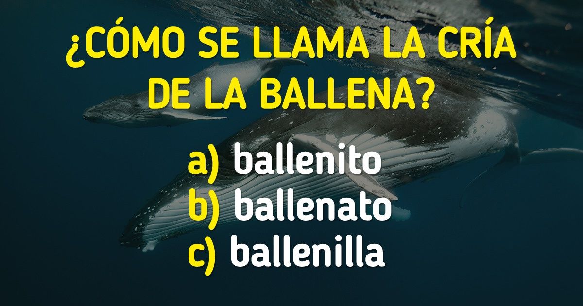 Test: Pon a prueba tus conocimientos de biología y elige el nombre correcto de las crías de 15 animales