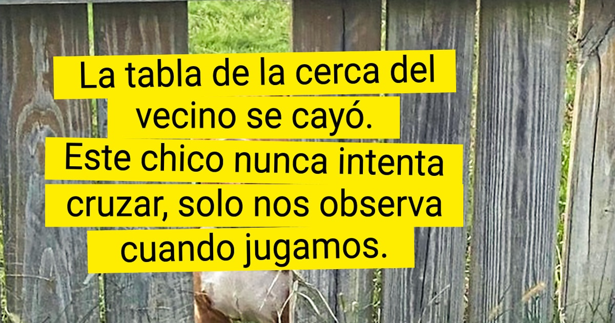 20 Usuarios cuya rutina se rompió con la aparición de visitas adorables