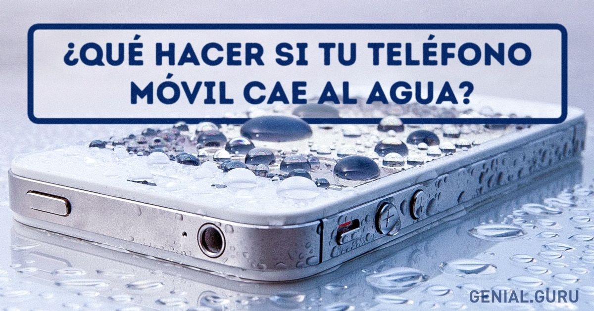 ¿Qué hacer si tu teléfono móvil cae al agua?