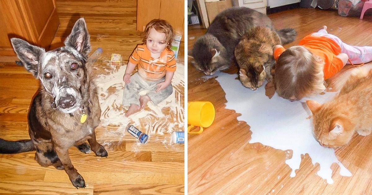 7 Motivos por los que tu hijo debería tener una mascota