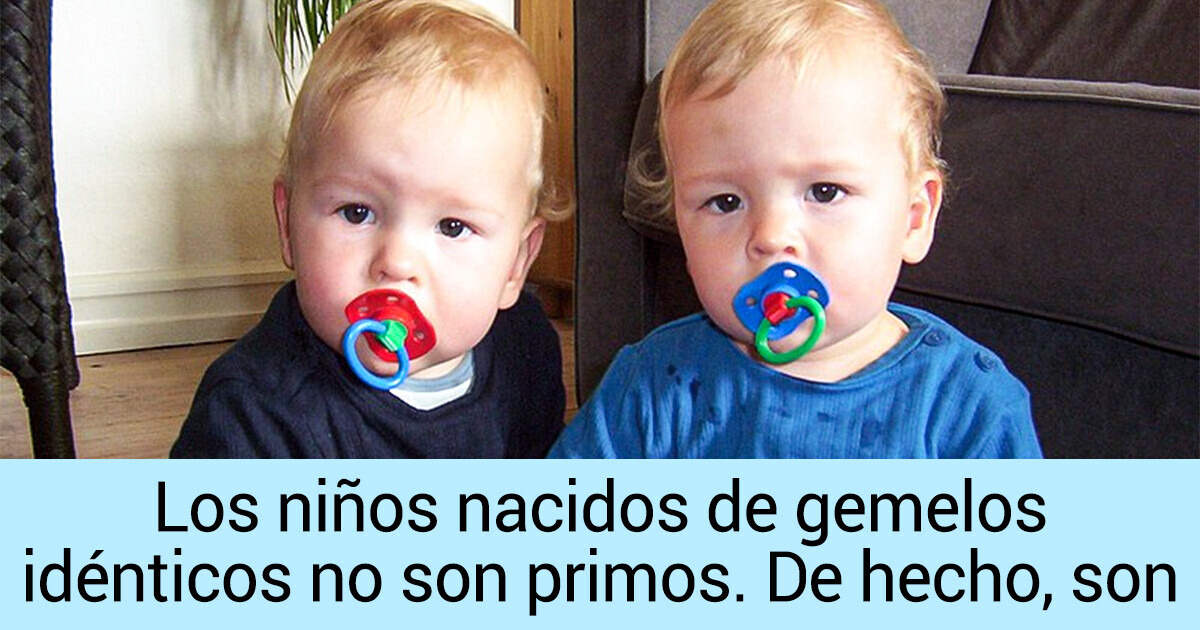 15+ Curiosidades que muestran los enigmas de nuestro mundo