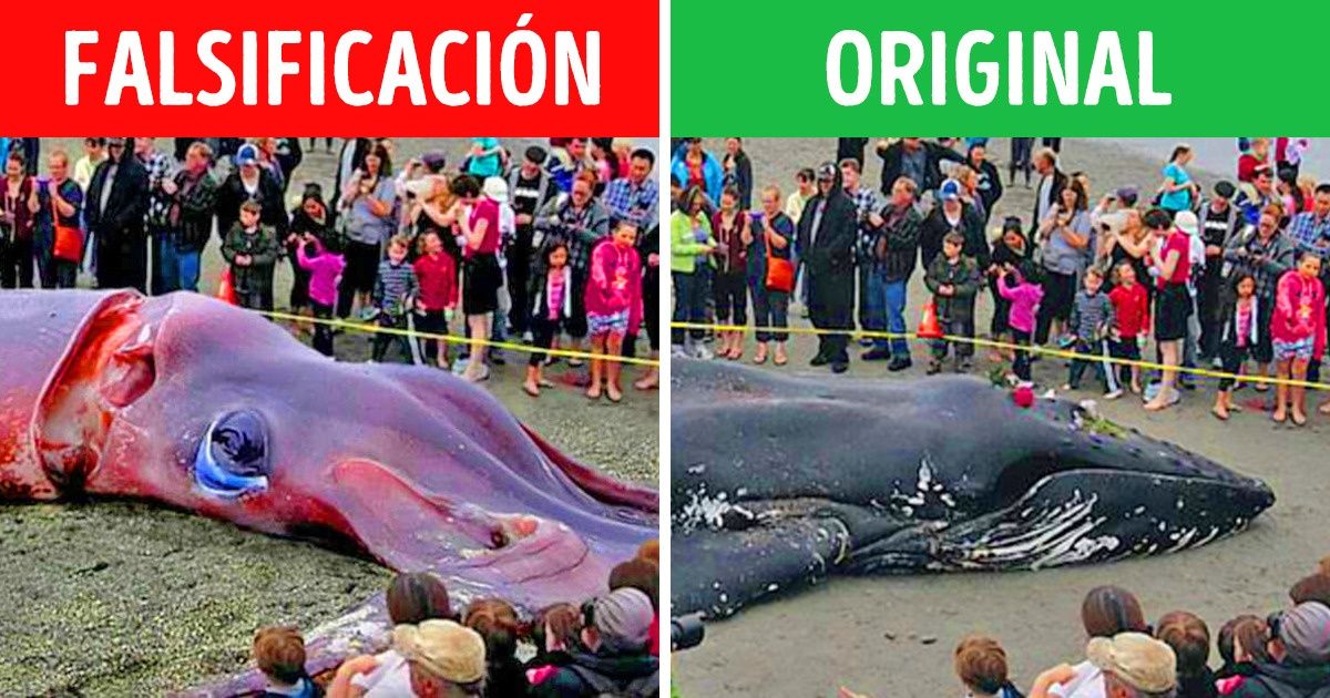 10 Famosas fotografías cuya autenticidad hemos creído todos estos años