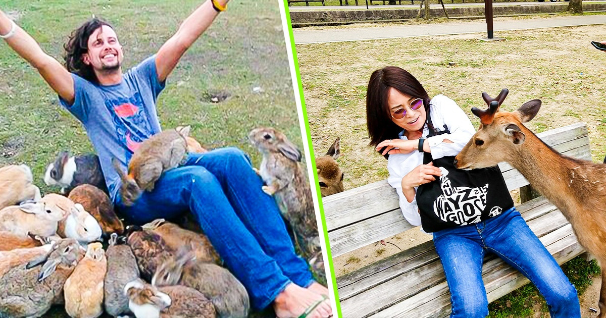 8 Lugares en donde los animales superan en cantidad a los humanos