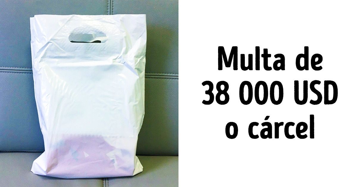 10+ Cosas comunes que te meterán en problemas si las intentas ingresar a algunos países 10+ Cosas comunes que te meterán en problemas si las intentas ingresar a algunos países