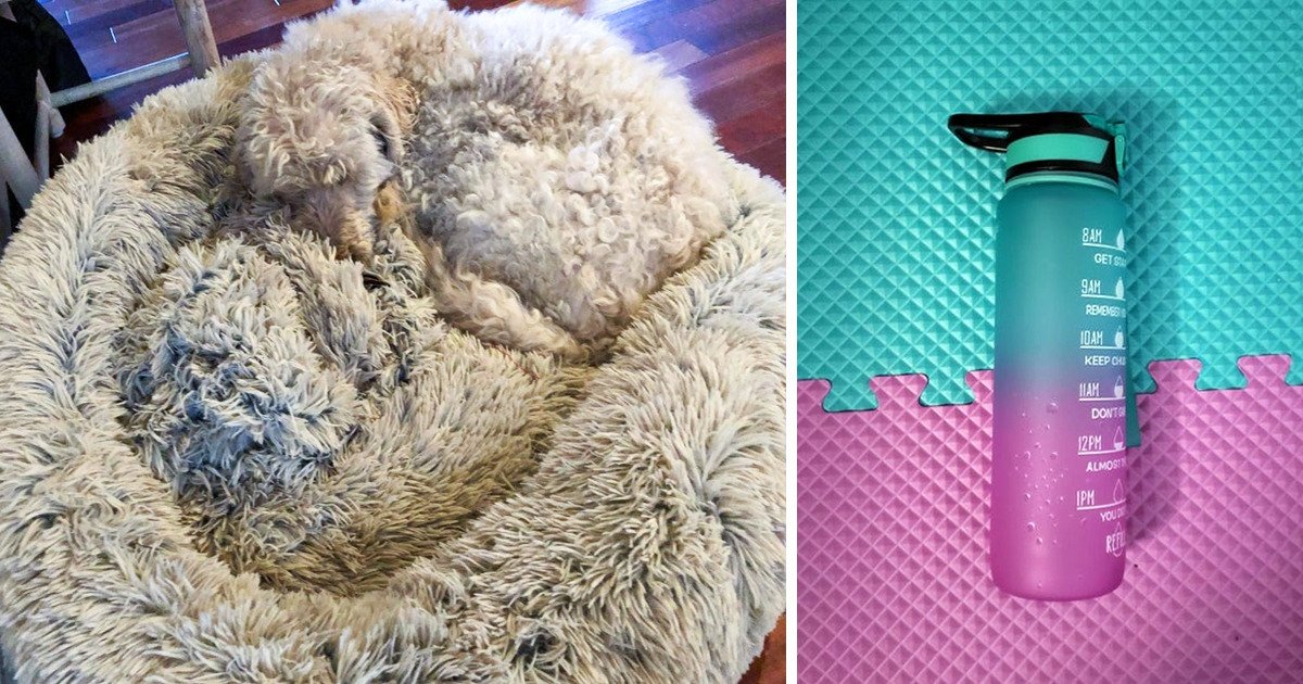 18 Fotos que logran poner a prueba nuestra vista para encontrar los elementos que se camuflaron