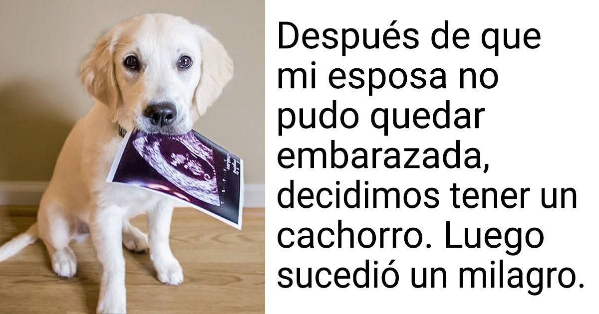 15 Fotos que harán que tu día comience con mucha alegría