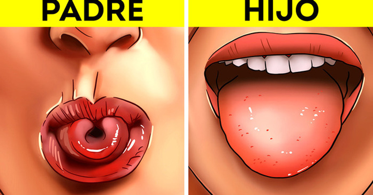 15 Mitos sobre tu cuerpo que nunca te cuestionaste