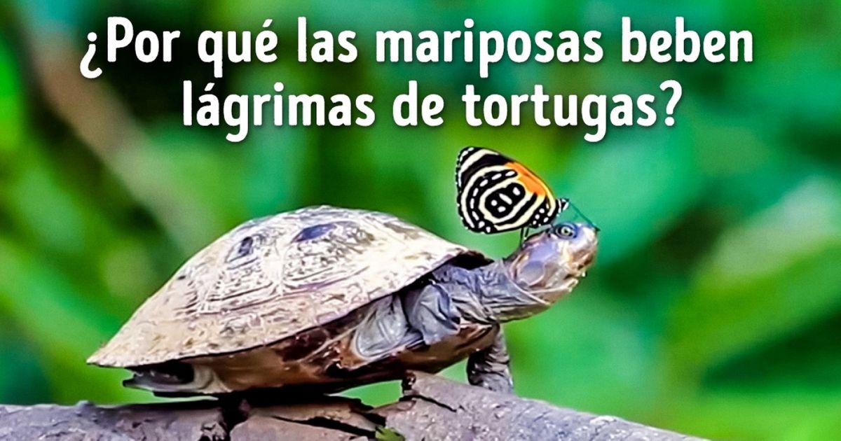10 Preguntas inesperadas que confundirán a cualquiera