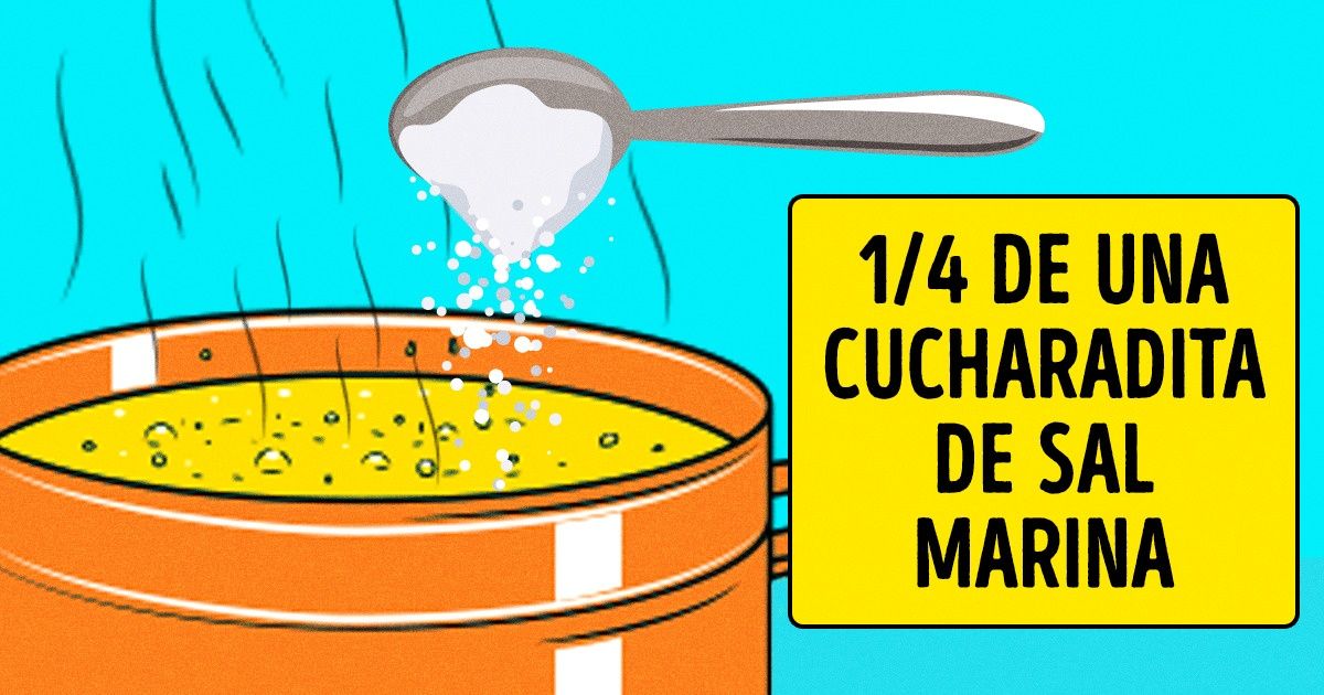10 Cosas que debes tener en cuenta para mantenerte saludable cuando realices una dieta vegetariana 10 Cosas que debes tener en cuenta para mantenerte saludable cuando realices una dieta vegetariana