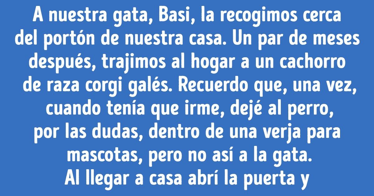 20+ Historias donde los gatos y los perros decidieron ignorar los prejuicios para convertirse en los mejores amigos 20+ Historias donde los gatos y los perros decidieron ignorar los prejuicios para convertirse en los mejores amigos