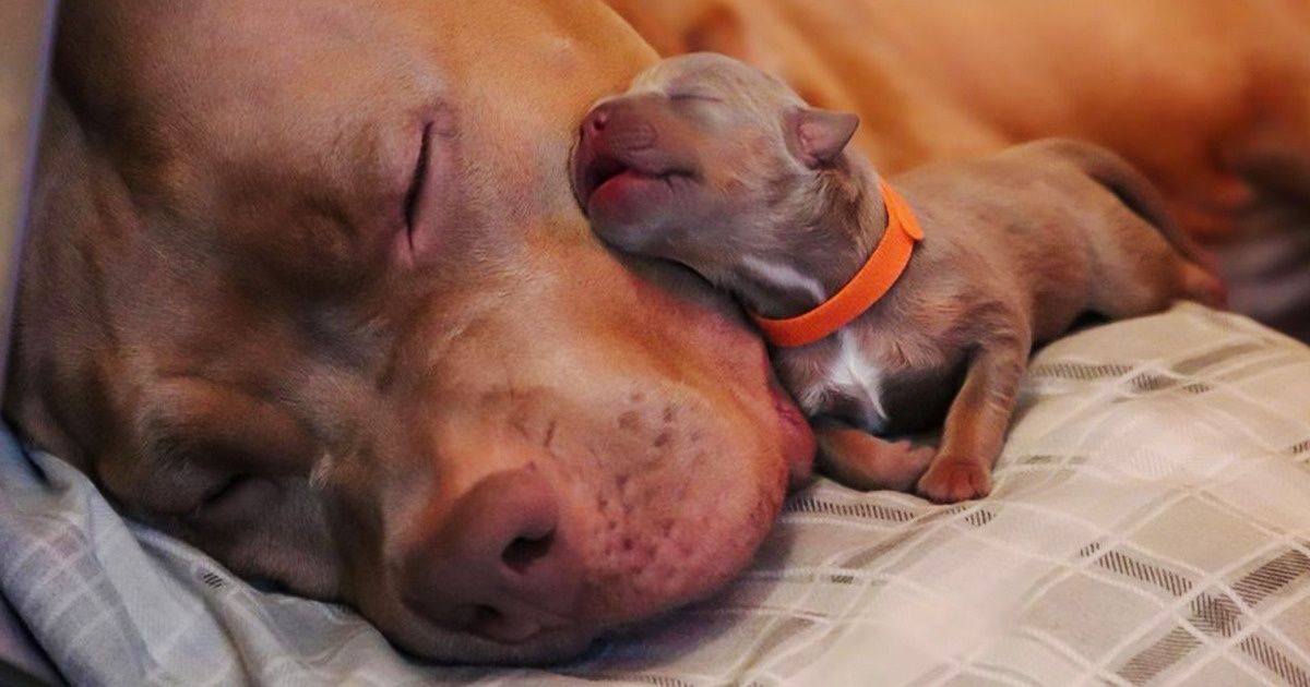 20+ Fotos que demuestran que las mamás siempre serán mamás, porque así es su naturaleza 20+ Fotos que demuestran que las mamás siempre serán mamás, porque así es su naturaleza