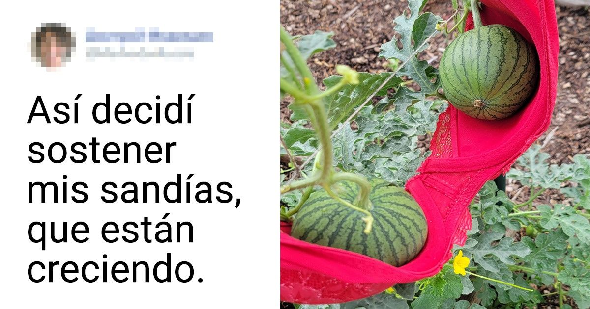 15 Personas cuyas acciones dejan a los demás en estado de leve estupor 15 Personas cuyas acciones dejan a los demás en estado de leve estupor